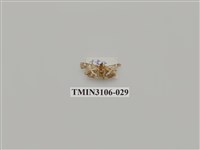 藏品(螟蛾181)的圖片